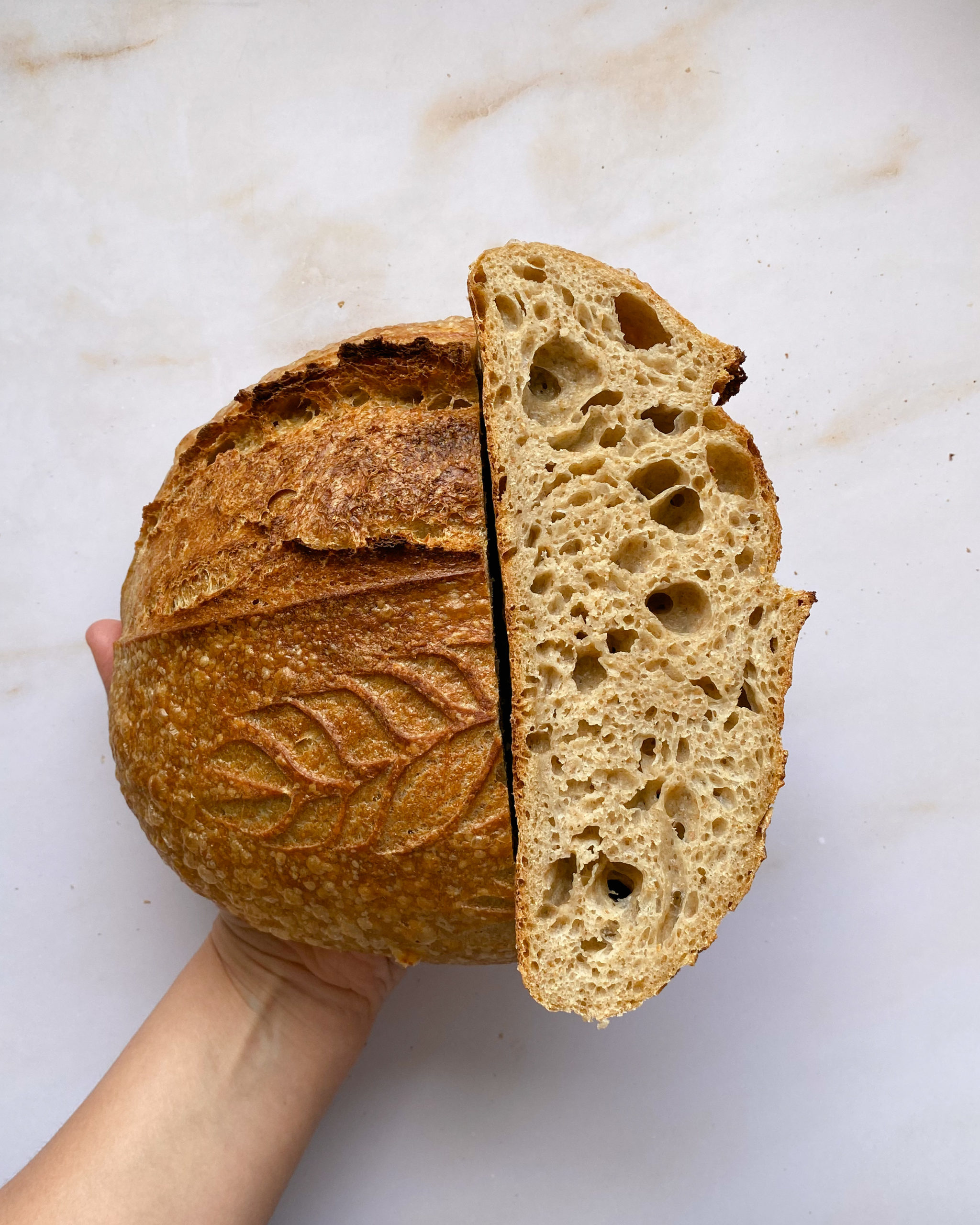 whole wheat bread image that is 4x5