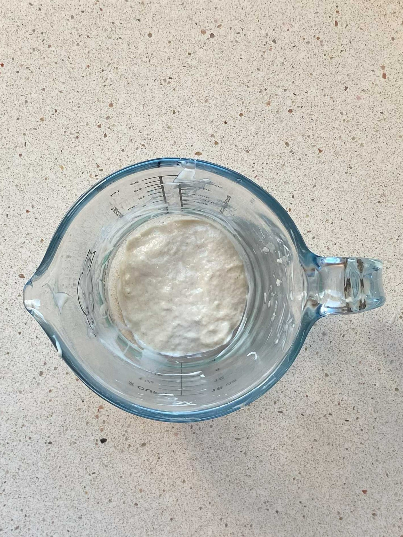 sourdough starter after a refeed