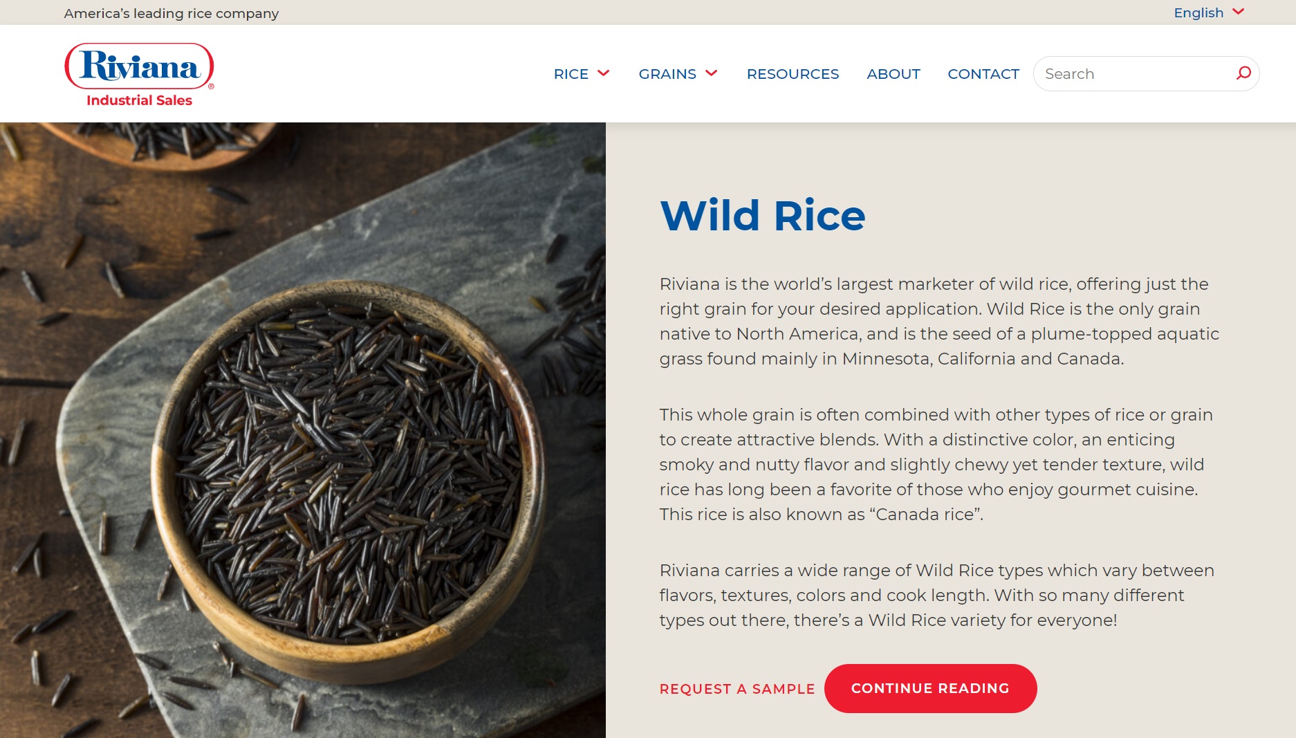 wild rice description